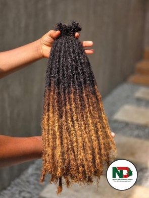 Regularlocs extensions 100% natural