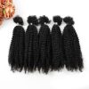 Afro Kinky 4C Brazilian Human Hair (100 Grams) Afro Kinky 4C Brazilian Human Hair (100 Grams)